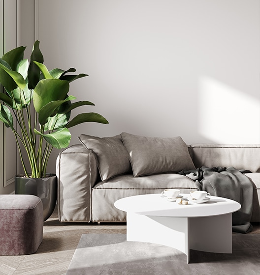 grijze bank met mooie groene plant ernaast